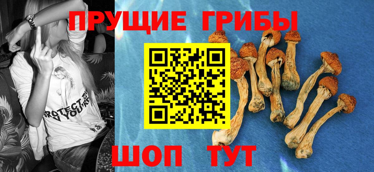 Нововоронеж  Галлюциногенные грибы прущие грибы  Галлюциногенные грибы Magic Shrooms  Вход с VPN 